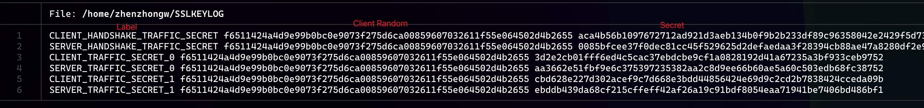 TLS 1.3 keys in an SSLKEYLOG file