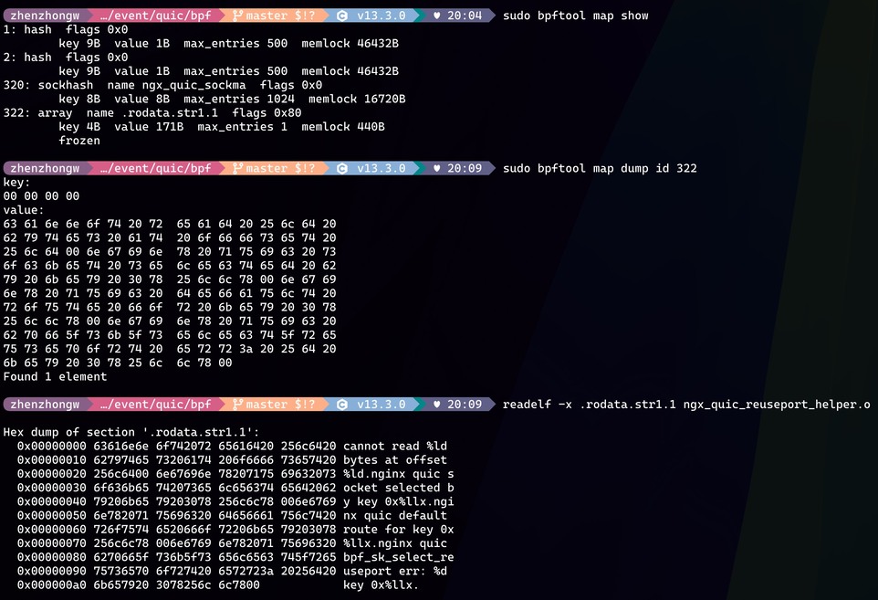 Comparison between bpftool rodata map dump and readelf section content